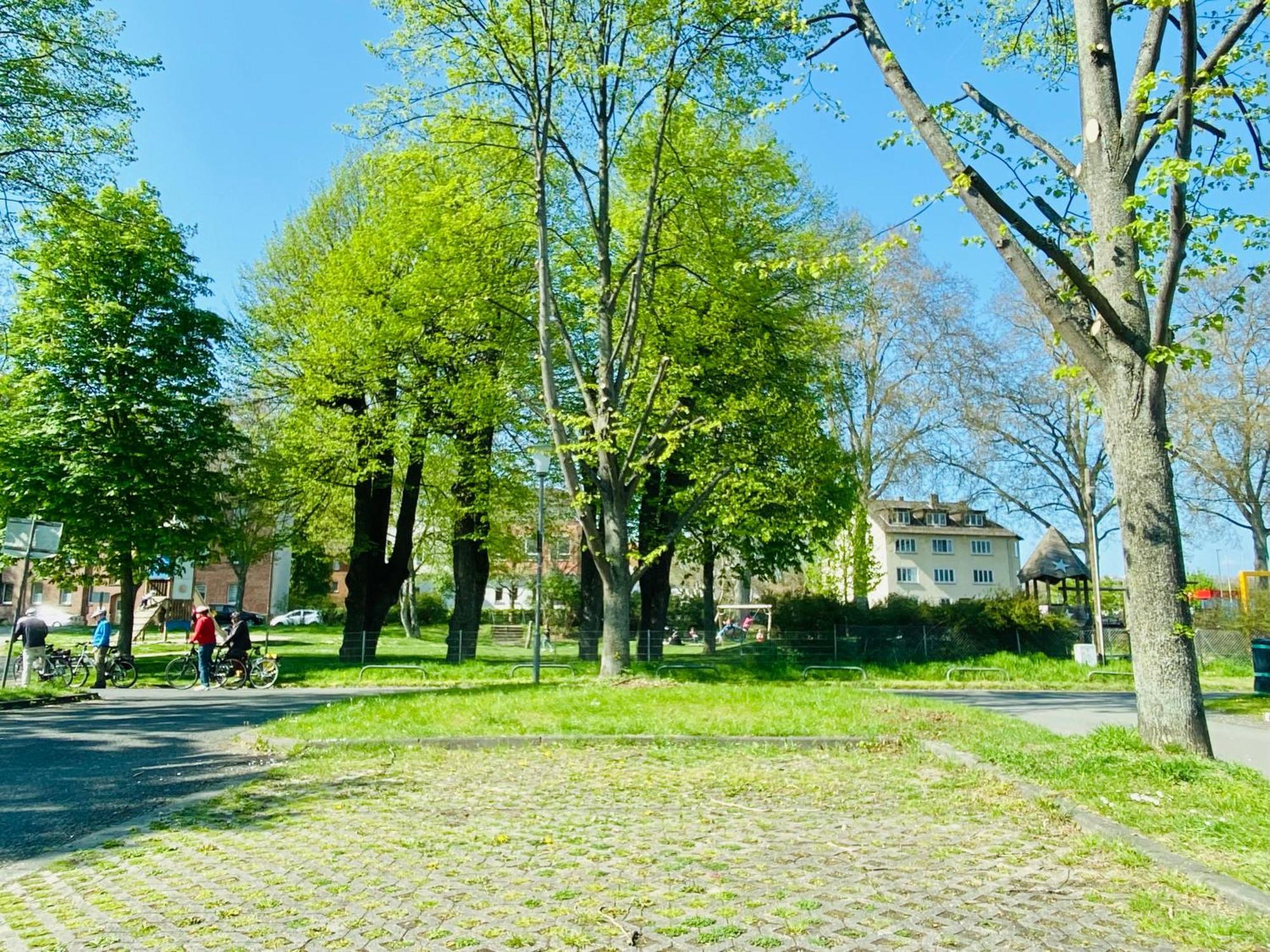 Kassel: Alles, Was Du Brauchst! Bagian luar foto